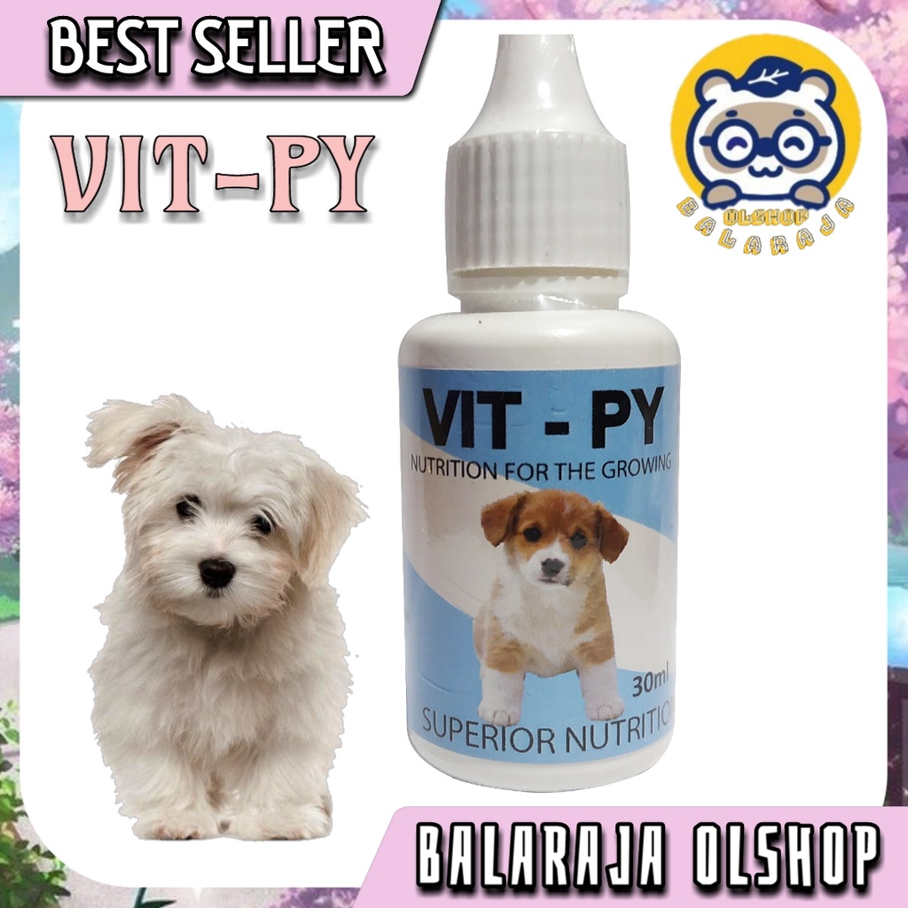 Vitamin Anak Anjing Kecil Vitpy Penambah Nafsu Makan Obat Gemuk Vit - Py Dog