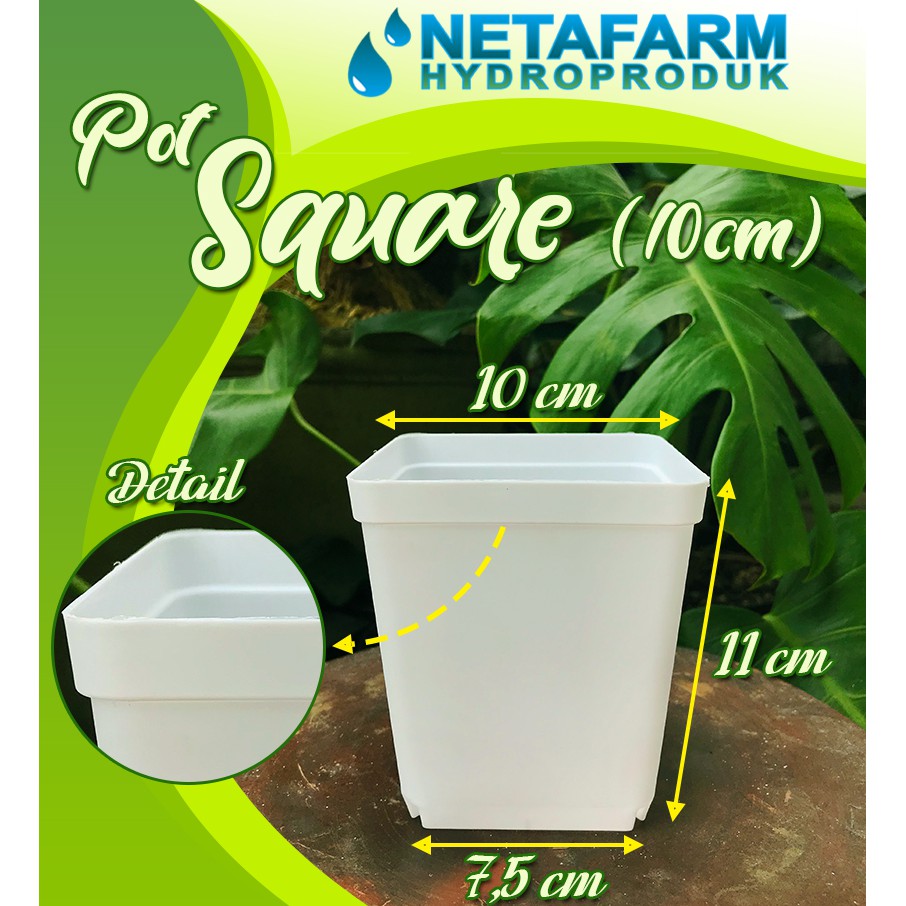 Pot Square PUTIH Kotak 10 cm - 1 pcs