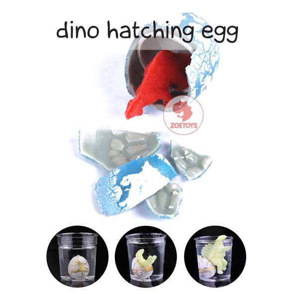 Zoetoys Dino Hatching Egg | Growing Telur Dino Dinosaur Surprise Menetas Mainan Unik dan Lucu