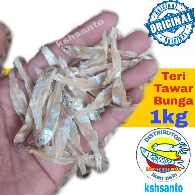 

[COD] ikan asin teri tawar asli bunga-1kg [COD]
