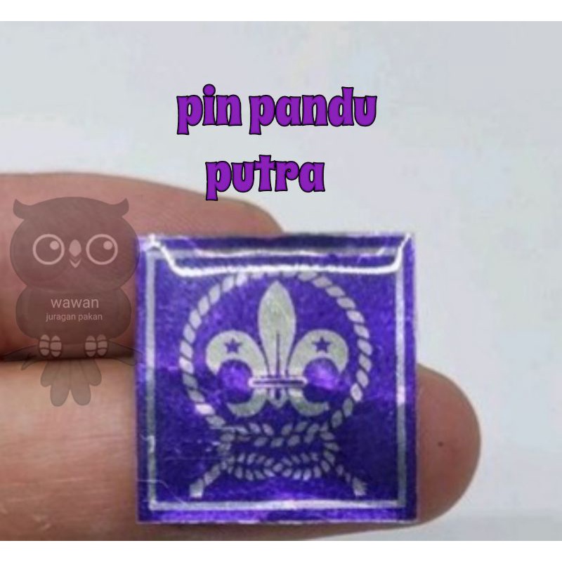 PIN TUNAS KELAPA &amp; PIN PANDU DUNIA WOSM PERLENGKAPAN PRAMUKA, BROSS KITRI