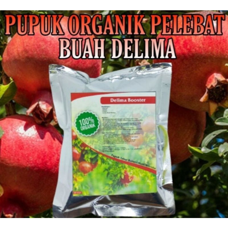 Pupuk organik booster pelebat dan penyubur delima kemasan 250gram serbuk terbaik cepat berbuah dan bertunas