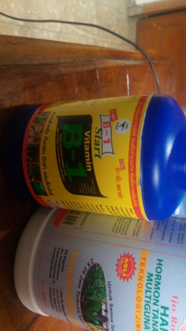 T-rex Vitamin B1 Thailand 100ml