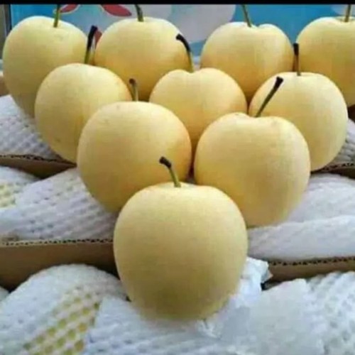 

Pir Century (Buah Segar)