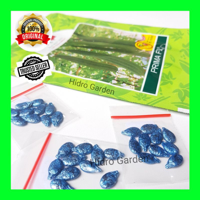 Benih / Bibit Gambas Prima F1 Cap Panah Merah 10 biji Repack