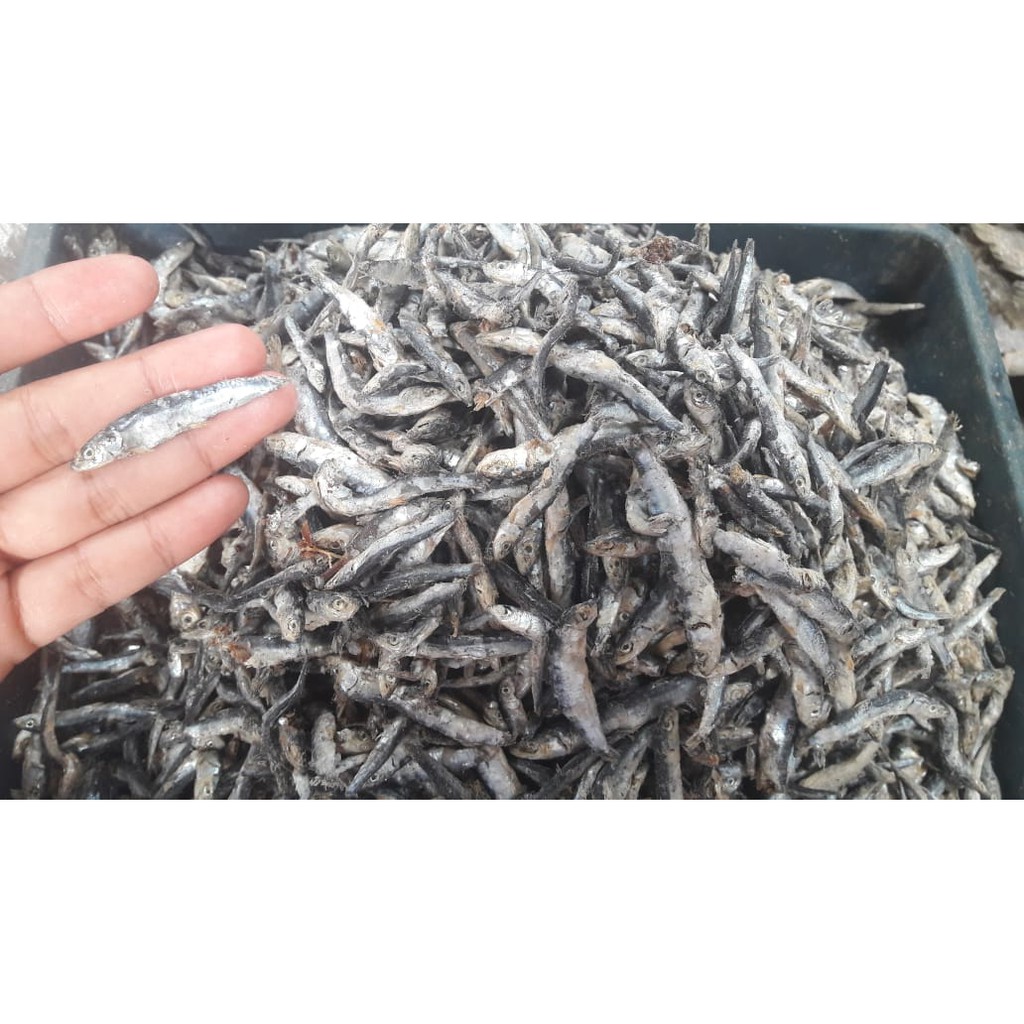 

Ikan Asin Teri batu