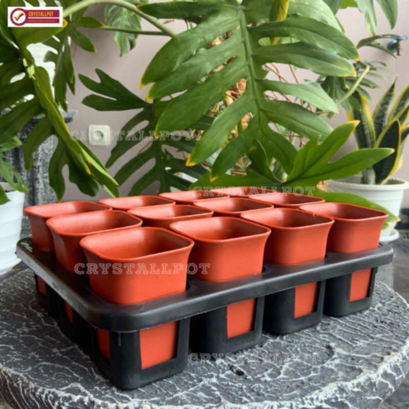 1 set Tray + pot bunga nkt kotak 5cm MERAH BATA | tray semai bibit