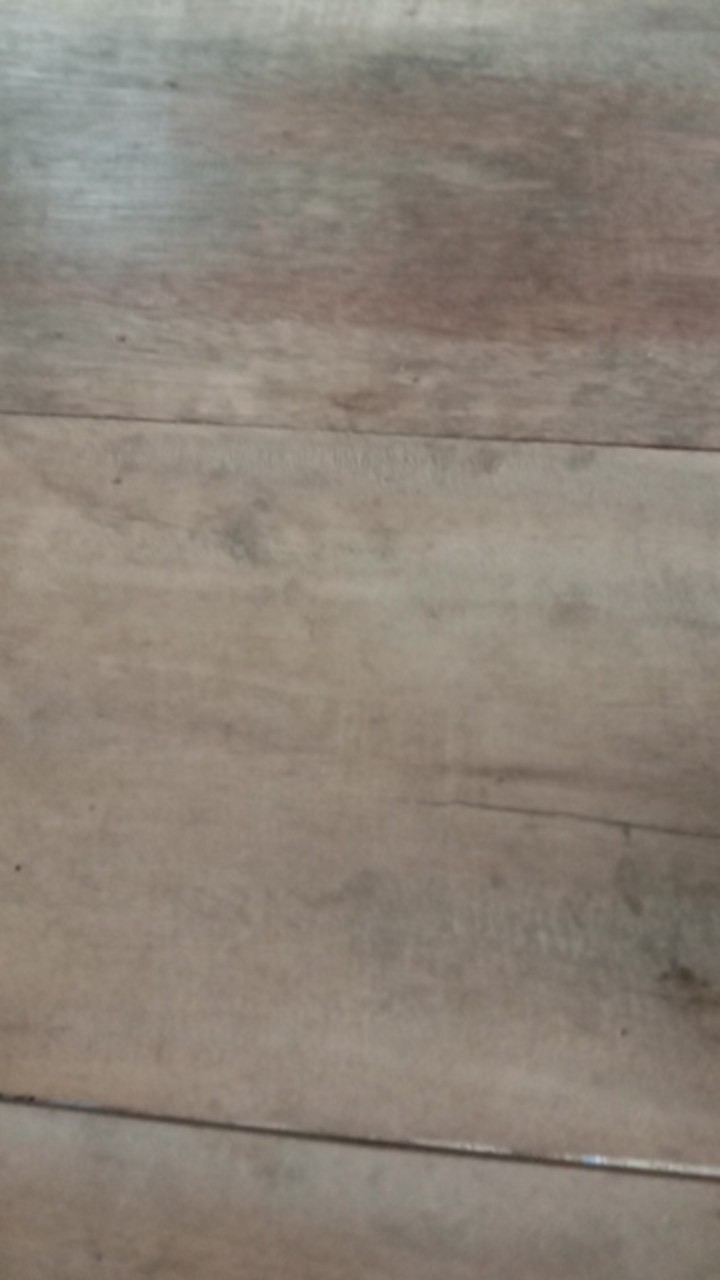 Cetok/sendok Semen Galur Asli Ukuran 30cm