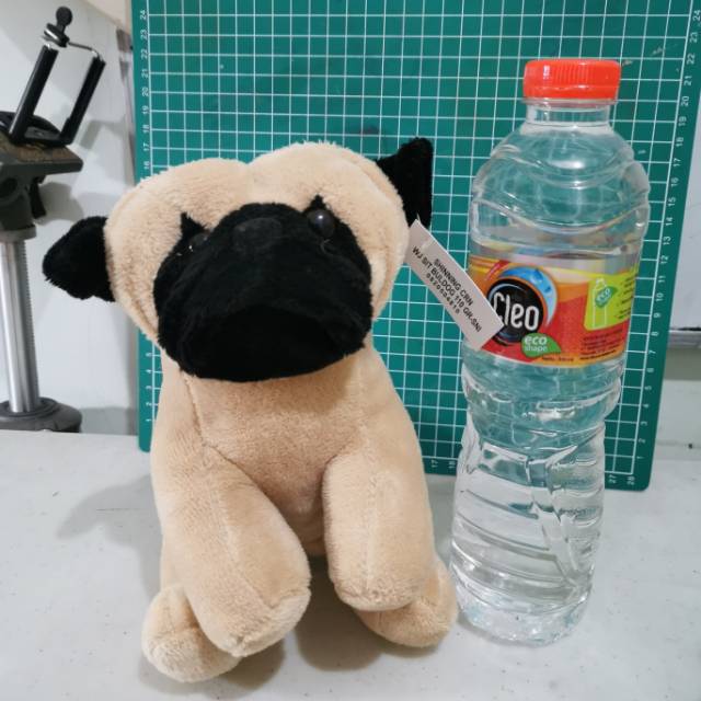 boneka anjing pug