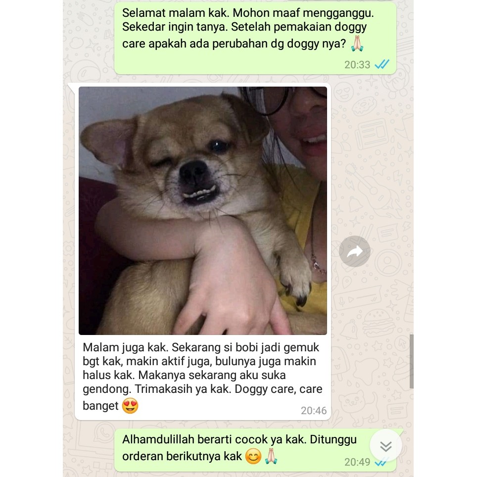 DOGGY CARE - VITAMIN PENGGEMUK ANJING PENAMBAH BERAT BADAN NAFSU MAKAN ANTI BODY VITAMIN ANJING