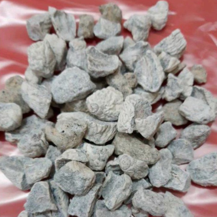 

KIAMBOY PLUM POTONG TANPA BIJI (250gram)