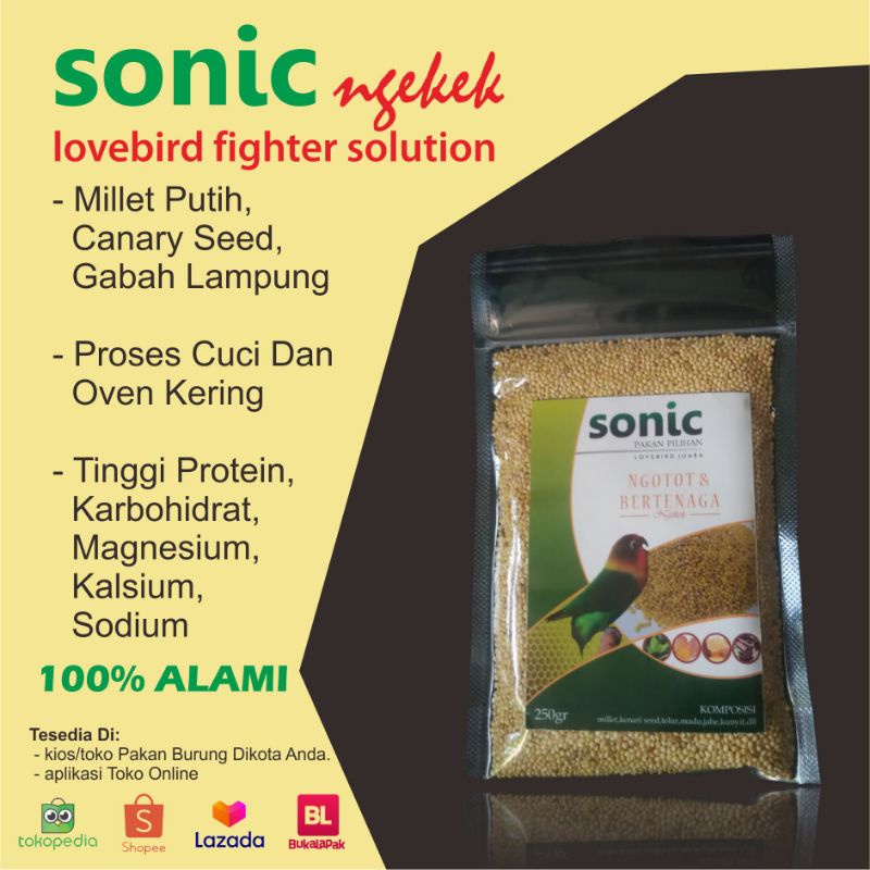 PAKAN BURUNG sonic lovebird ngekek fighter pakan lovebird durasi