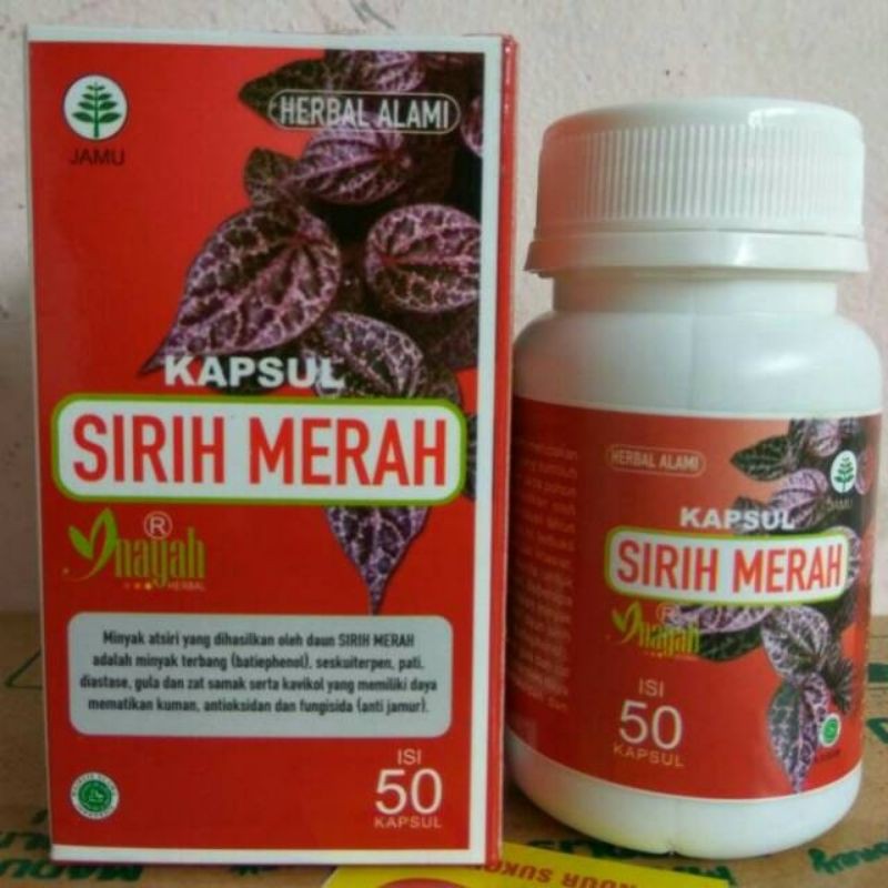 

Kapsul Sirih Merah Inayah Bau Badan Bau Mulut Maag Diabetes Keputihan