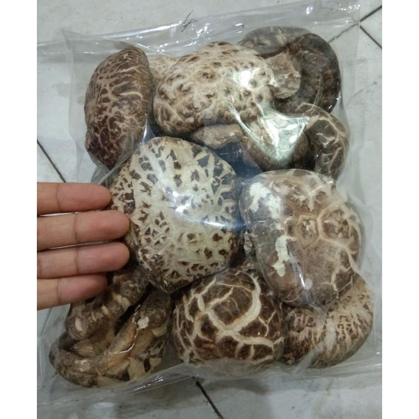 

Big Sale Jamur shitake / hioko kering kualitas A. 1 bungkus setengah kilo Diskon