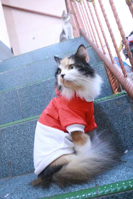 Kaos hoodie spesial 17-an merdeka / kaos hoodie murah untuk kucing dan anjing size S M L XL