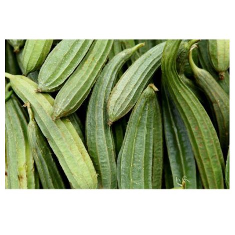 

Grosir Sayur Oyong Gambas Okra Segar 250 gram Murah