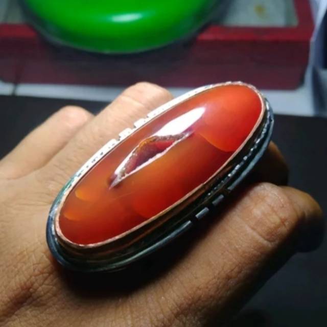 pandan merah combong alam size rudal babon big size