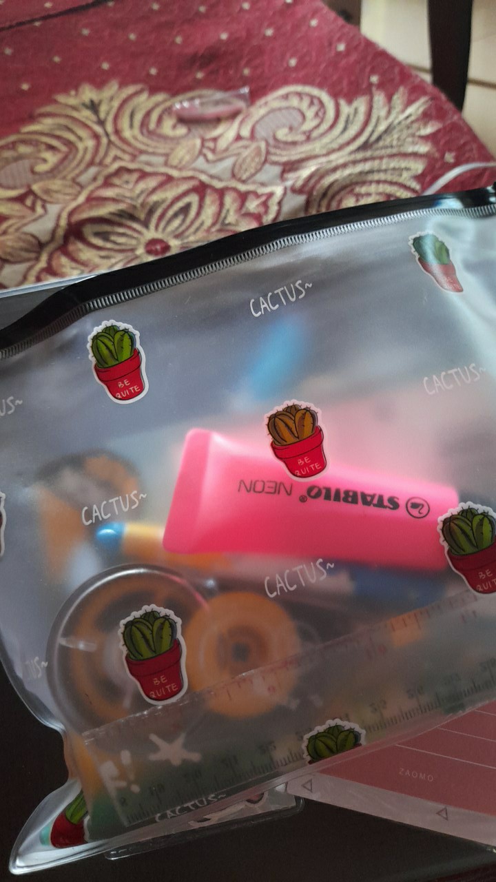 Pouch Pvc Transparan Gambar Unicorn Dinosaurus Kaktus