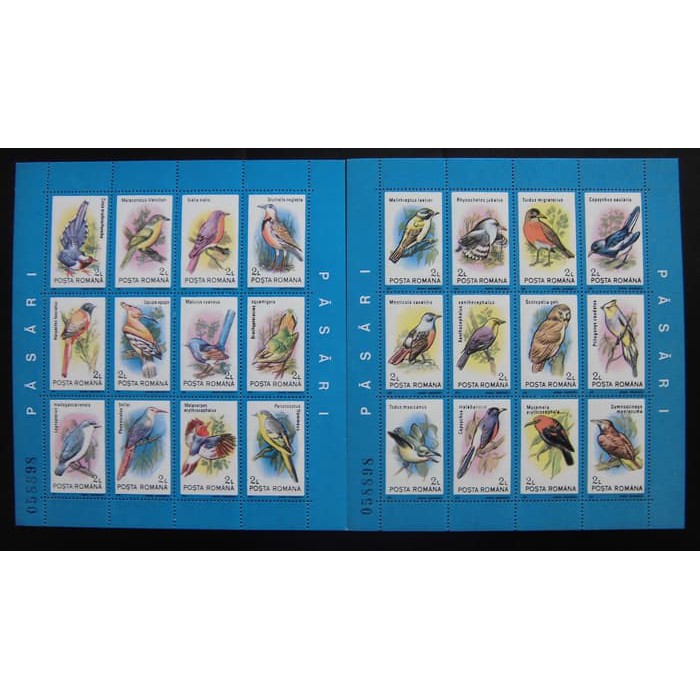 

RUMANIA BIRD 1991 - 2 X STAMP SHEETLET WITH SAME NUMBER .