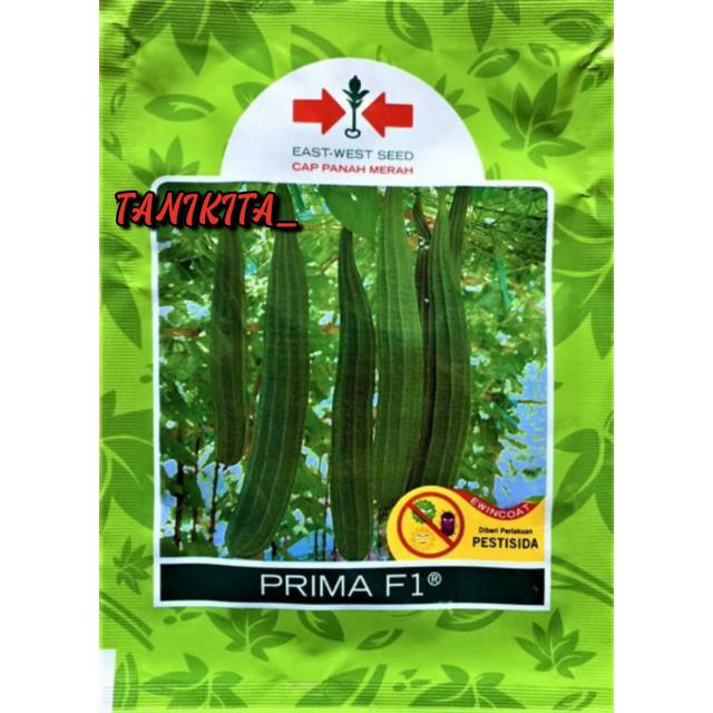 CAP PANAH MERAH BENIH BIBIT TANAMAN SAYUR SAYURAN HIDROPONIK