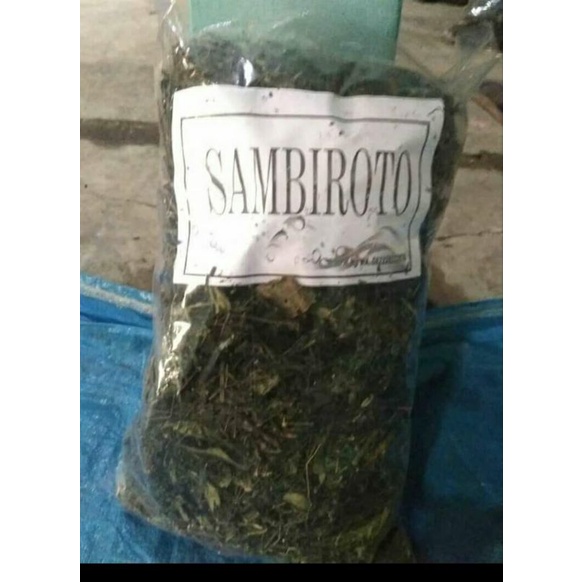 

(500gr) daun sambiroto kering
