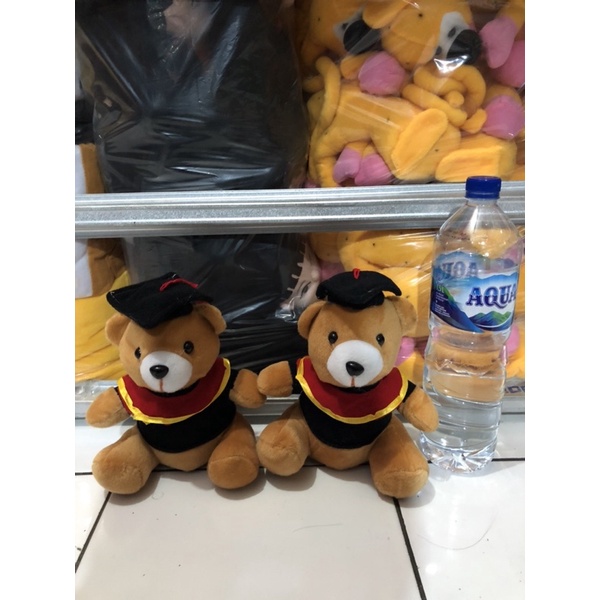 Boneka Beruang Wisuda Hadiah Wisuda SNI