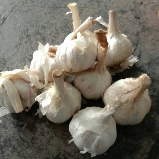 

Bawang Putih Kating Fresh Kiloan