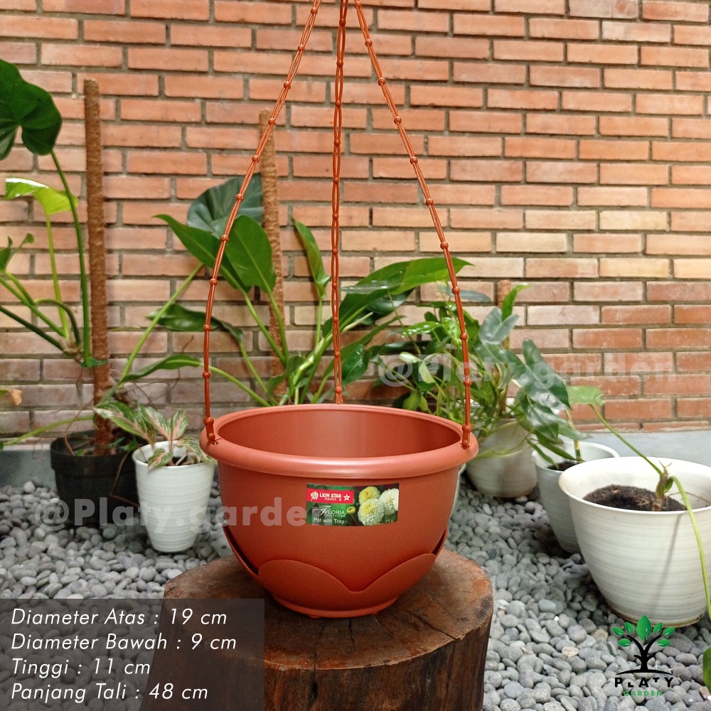 Pot Gantung Gardenia | Pot Gantung Lion Star | Pot Gantung Putih &amp; Terracotta