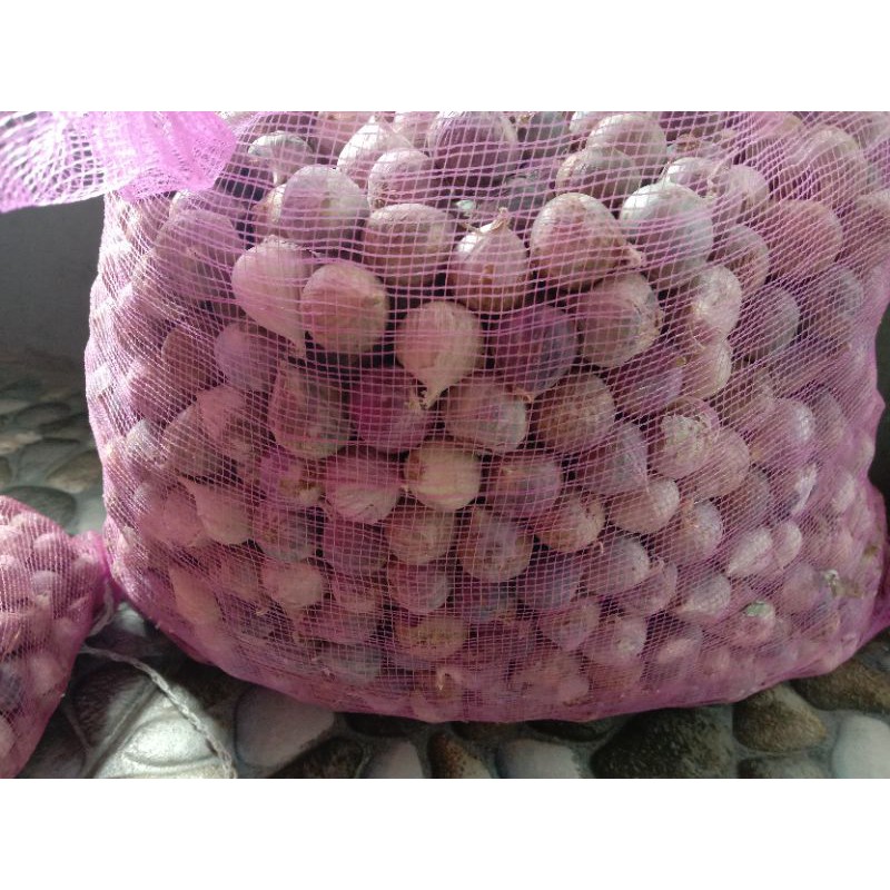 

bawang lanang