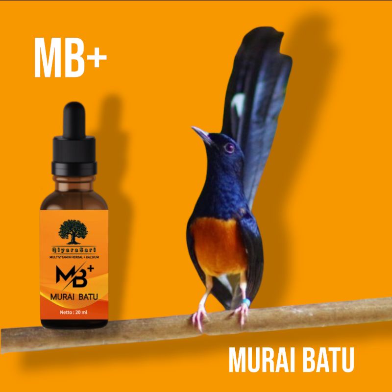 Qiyara Sari MB Plus Vitamin Burung Murai Batu Penambah Stamina