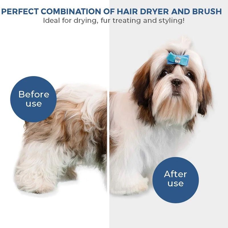 Pet Grooming Dryer Pengering Bulu Anjing Kucing Sisir Dan Blower 2 in 1 Hair Dryer Hewan Peliharaan