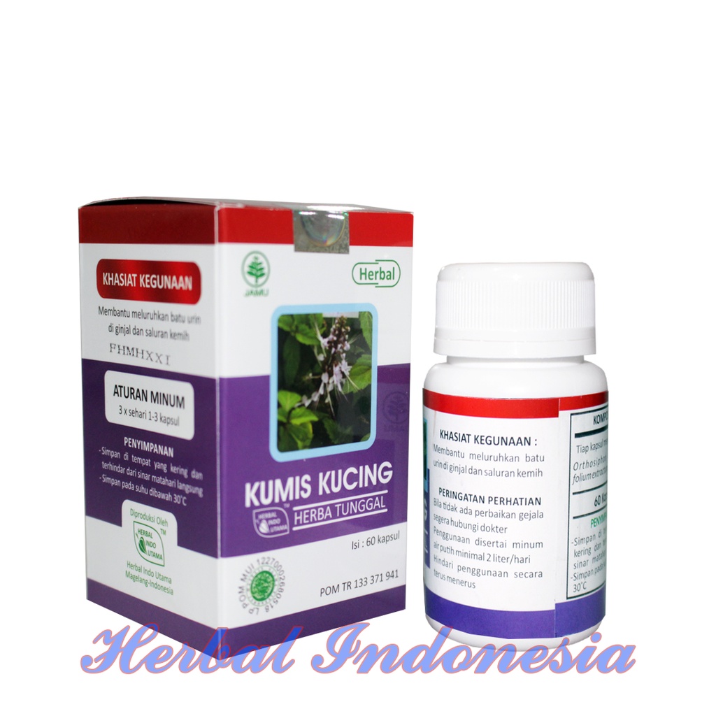 Kapsul Kumis Kucing HIU Obat  Batu Ginjal iSI 60 - Herbal Asam Urat, Rematik dan Meluruhkan Batu Empedu