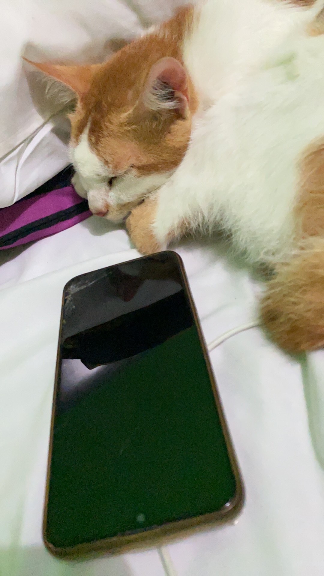 Lembayung.id / Kemeja Batik Anak Motif Cacing