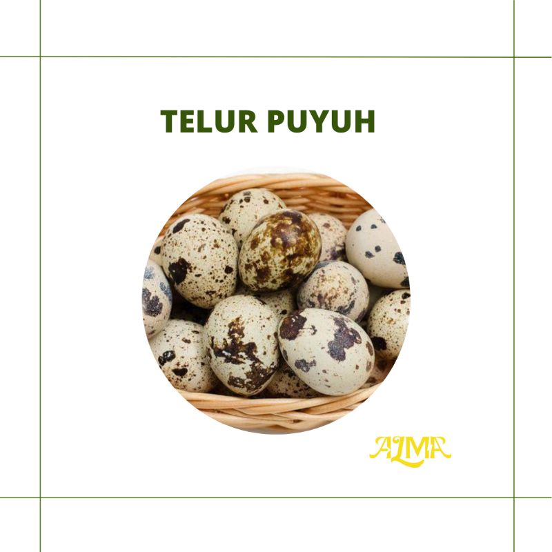 

TELUR PUYUH