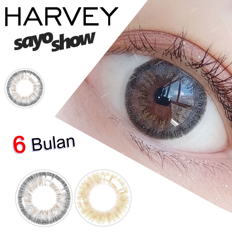 SAYOSHOW - Softlens HARVEY Normal, Minus 1.00 S/D 8.00 (14 mm)