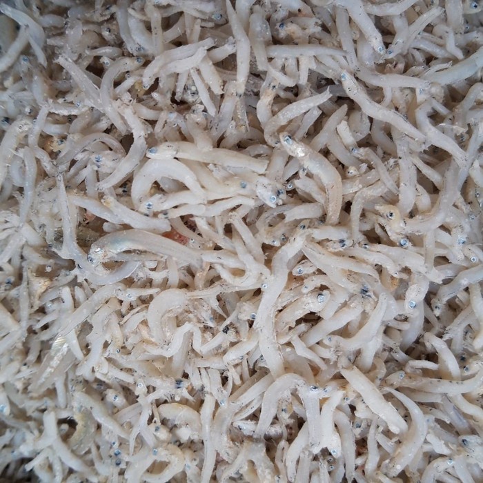 

ikan teri nasi medan kualitas super 250 gram