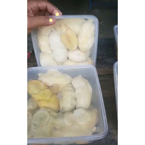 

Durian Box / Durian Lubuklinggau : Cup / Durian Kiloan Pakai Box / Durian Tembaga