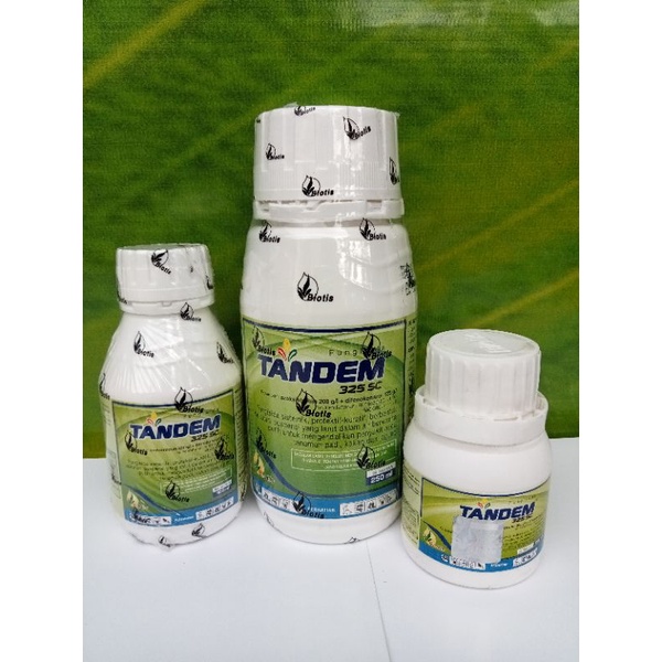 Tandem 325 SC Fungisida