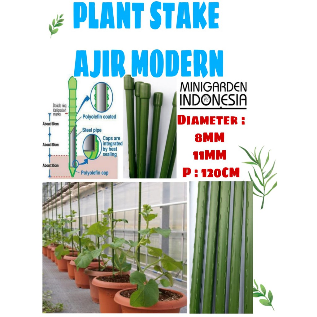 PLANT STAKE AJIR MODERN 120CM KUALITAS JEPANG  penyangga tanaman merambat turus 0,8X120CM 1,1X120 CM