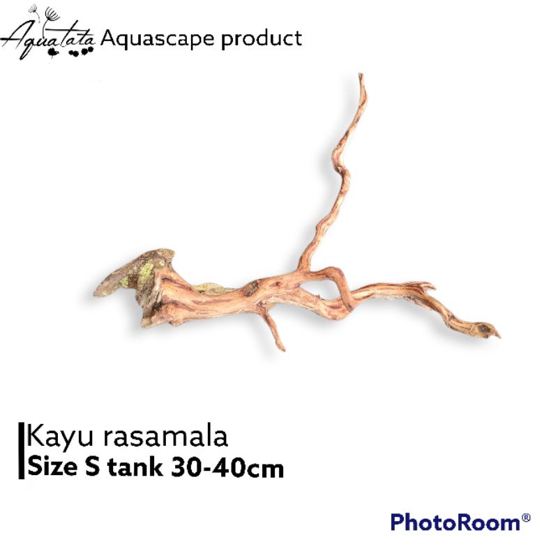 akar kayu aquascape aquarium/ akar rasamala /kayu rasamala S