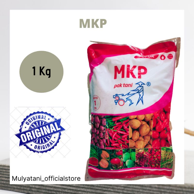 Pupuk MKP Paktani 1 Kg Original