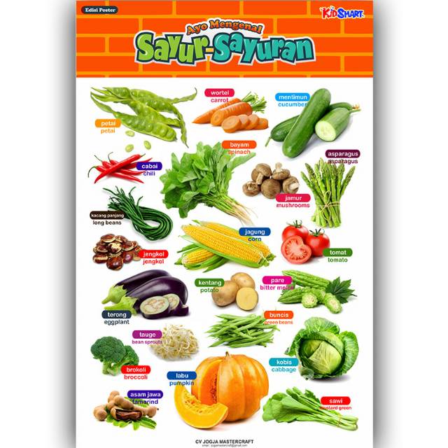 Poster Sayur Sayuran Poster Belajar Edukasi Shopee Indonesia
