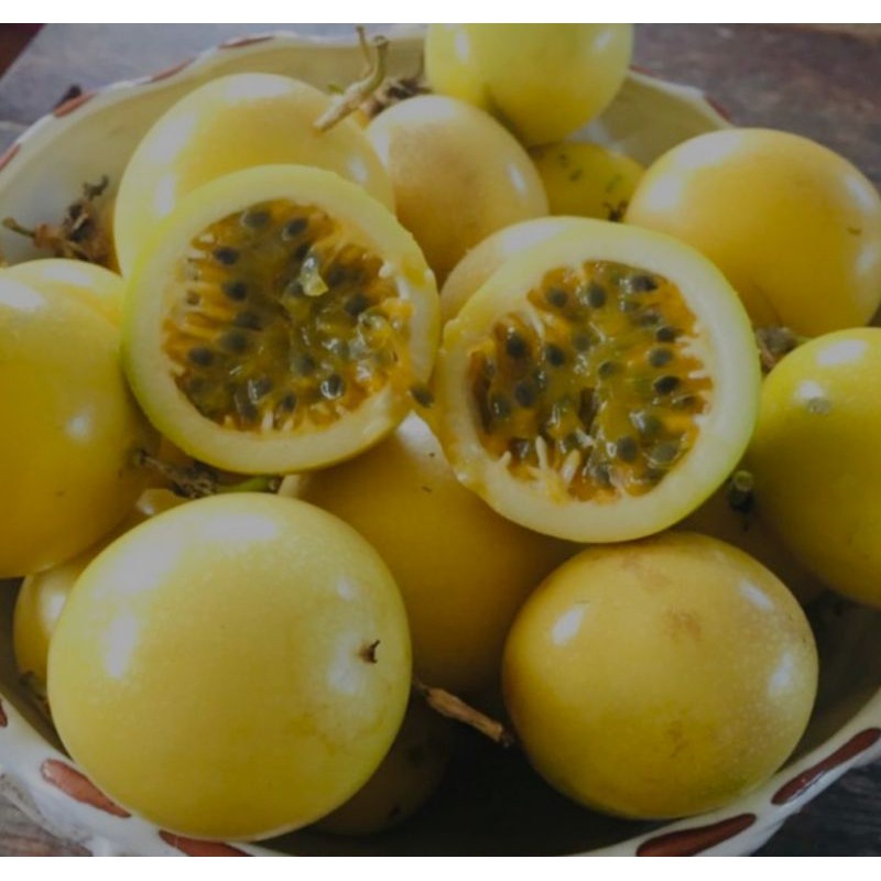 

Markisa Asli Bibit Brazil (jual perkilo) minimal order 1 kilo