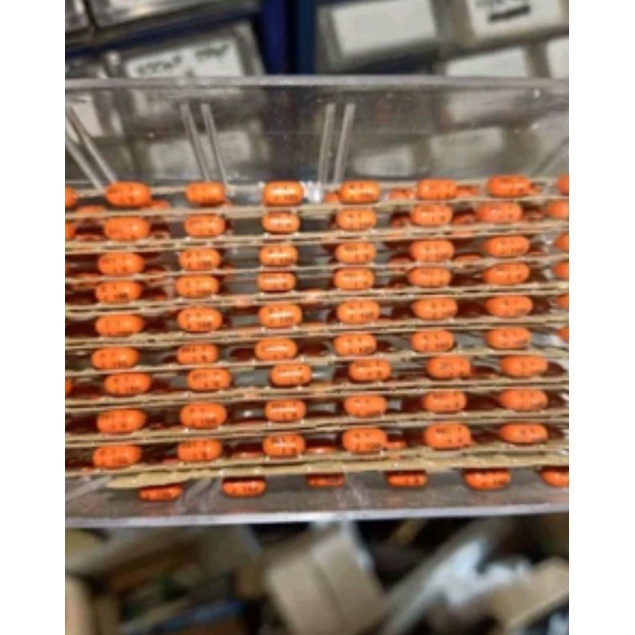 Kapasitor 104 - 100nF 100V Keramik