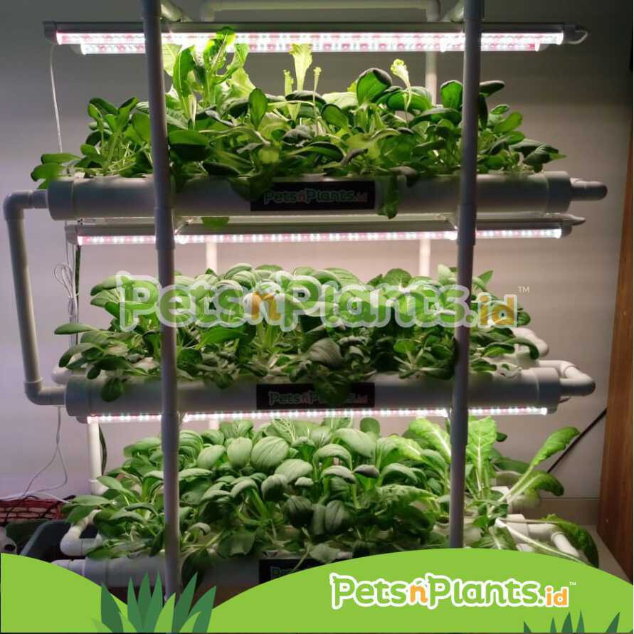 HYDROPONIC SET INDOOR GROWING SYSTEM FULL SPECTRUM GROW LIGHT PVC-U 2,5 INCHES 108 HOLES IMPORTED