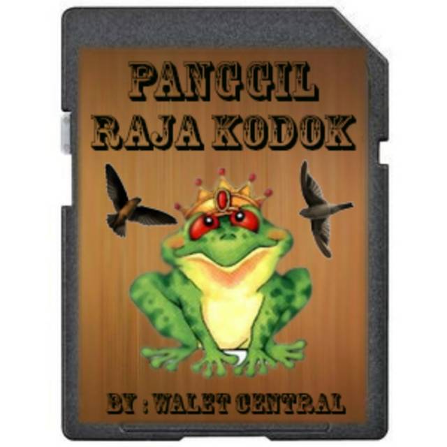 Suara panggil walet Raja Kodok original