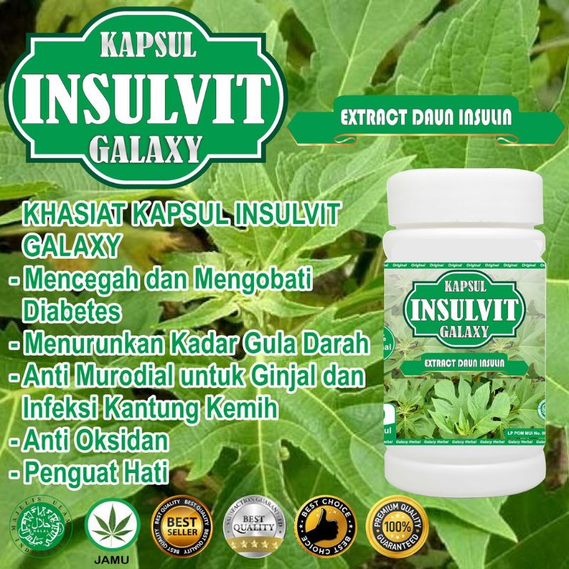 KAPSUL INSULIN -AMPUH ATASI DIABETES/ TURUNKAN GULA DARAH