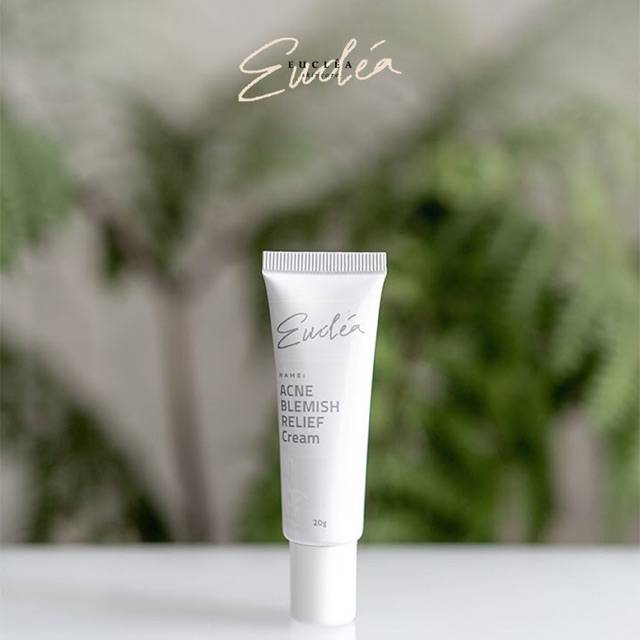 (DIST RESMI) Acne Blemish Relief Cream by Euclea