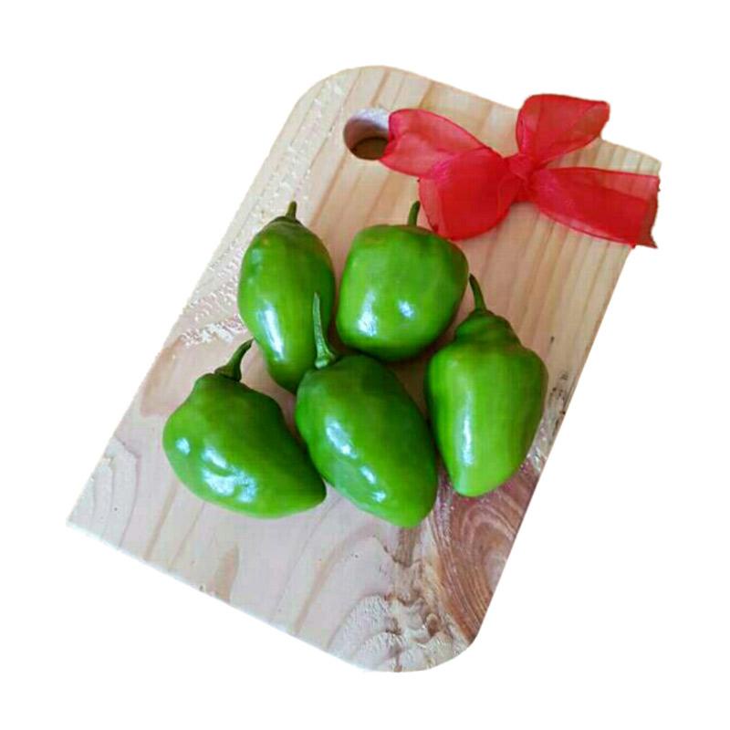 1/2 kg cabe gendot gembor cabai gembor cabai super gred a di packing pake mesin vakum cabe murah cabe pedas