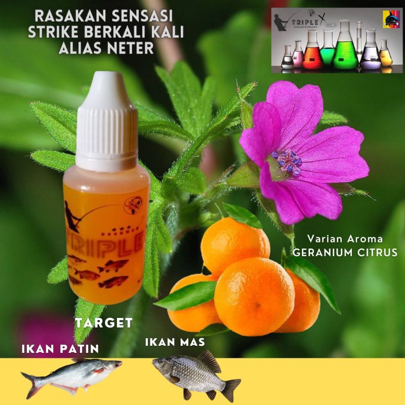 Essen target ikan mas dan patin, Essen ikan mas, Essen Galatama, Essen galapung, Essen lomba, Essen 